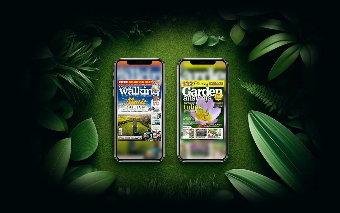 Illustration image of Great Magazines committing to sustainability