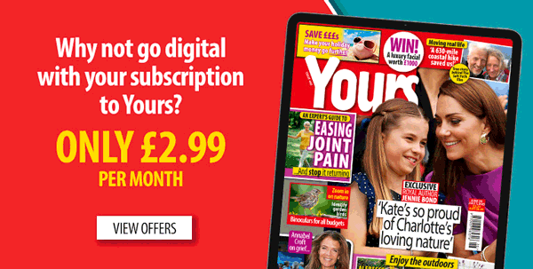 MPU Summer Sale banner