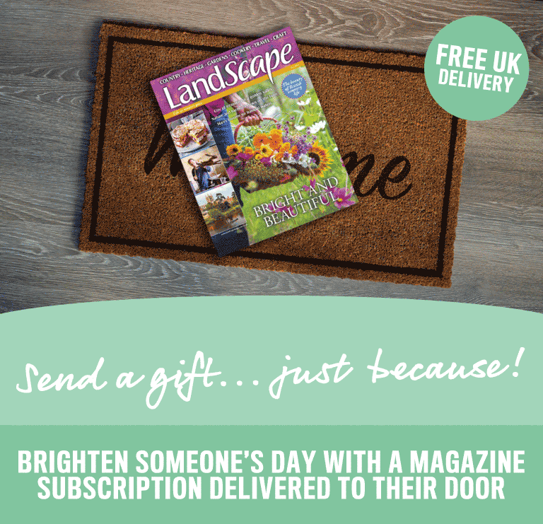 send a gift subscription